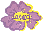 purple flower 2